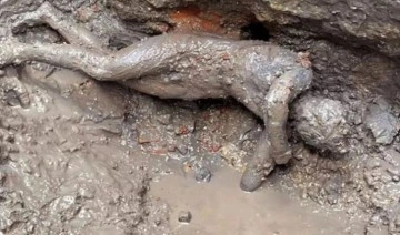 İtalya'da 2 bin 300 yıllık bronz heykeller keşfedildi: 'Tarihi yeniden yazabilir'