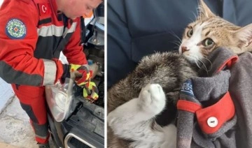 İtfaiye ekibi kurtardıkları ve bir bacağı ampute edilen kediyi sahiplendi