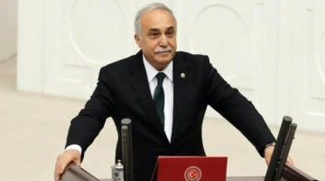 İYİ Parti'ye geçen Ahmet Eşref Fakıbaba'nın milletvekilliğinden istifası kabul edildi
