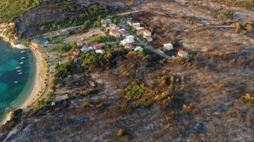 İzmir Aliağa'da çıkan orman yangını kontrol altına alındı! Bölgenin son görüntüsü yürek burktu