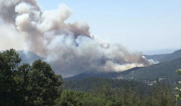 İzmir, Aydın ve Balıkesir'de orman yangını
