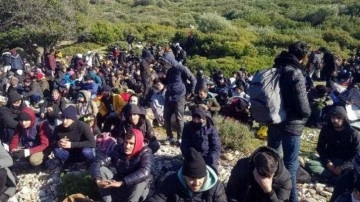 İzmir'de 343 göçmen yakalandı, 6 organizatör tutuklandı