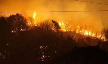 İzmir'de orman yangını başladı!