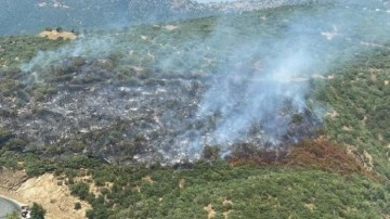 İzmir'de otomobilde çıkan yangın ormana sıçradı