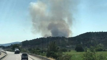 İzmir'de yangın: 10 hektar alan zarar gördü