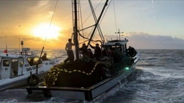 İzmir'de yasa dışı avlanan teknedeki 11 balıkçıya 284 bin lira ceza