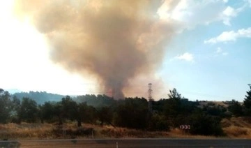 İzmir’de ziraat arazisinde yangın