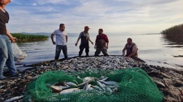 İznik Gölü'nde av sezonu balık bolluğuyla başladı