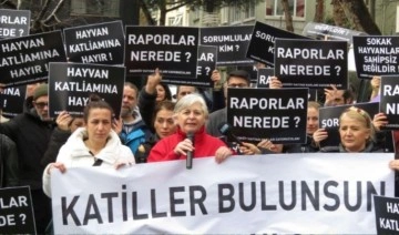 Kadıköy'de hayvanseverlerden 'Katiller bulunsun, hesap sorulsun' pankartlı eylem