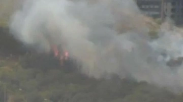 Kağıthane'de ağaçlık alanda yangın