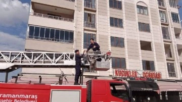 Kahramanmaraş'ta ağır hasarlı binada mahsur kalan kediyi jandarma kurtardı