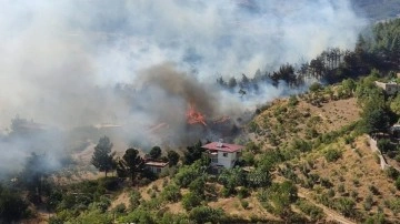 Kahramanmaraş'ta korkutan orman yangını! Rüzgarın etkisiyle yayıldı, alevler evlere sıçradı!