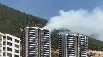 Kahramanmaraş’ta orman yangını: Bir kişi gözaltına alındı
