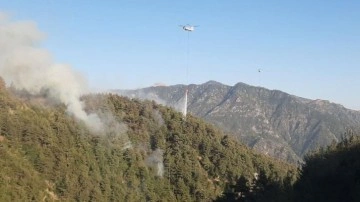 Kahramanmaraş'ta orman yangını: Hava ve karadan müdahale devam ediyor
