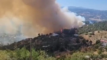 Kahramanmaraş'taki orman yangını evlere sıçradı