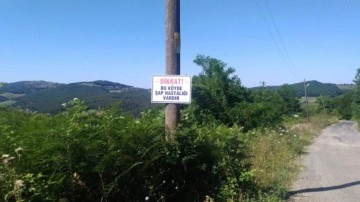 Karabük'te şap alarmı: 29 köy ile 6 mahalle karantinada