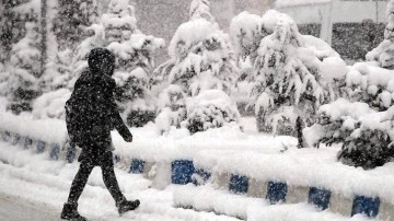 Kars Sarıkamış'ta sabah saatlerinde kar yağışı etkili oldu