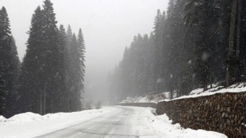 Kastamonu Ilgaz Dağı'nda kar etkili oluyor