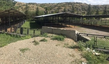 Kastamonu’da 16 köyde şap ve şarbon hastalığı karantinası