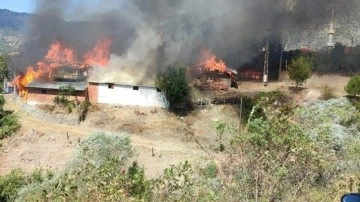 Kastamonu'da yangın: 10 ev yandı
