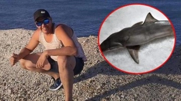 Kayıp kişinin kalıntıları yakalanan köpek balığının karnında bulundu