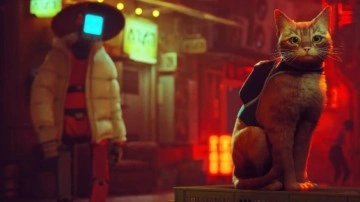 Kedi Simülatörü Stray'in Filmi Geliyor! - Webtekno