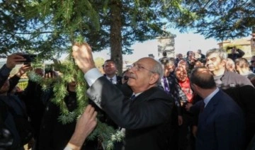 Kılıçdaroğlu marteniçkasını ağaca bağladı