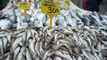 Kilosu 30 TL'ye satılan balıklara ilgi gösterilmiyor