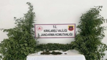 Kırıkkale'de jandarmadan kaçakçılık ve uyuşturucu operasyonu