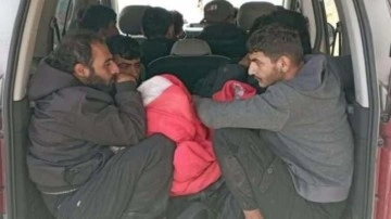 Kırklareli'de 439 göçmen ile 11 organizatör yakalandı