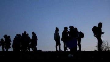 Kırklareli'nde iki haftada 361 düzensiz göçmen yakalandı