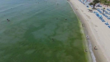 Kirlilik nedeniyle kapatılan Florya Güneş Plajı yanında suya girdiler