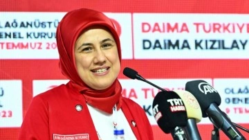 Kızılay'ın yeni genel başkanı Prof. Dr. Fatma Meriç Yılmaz oldu