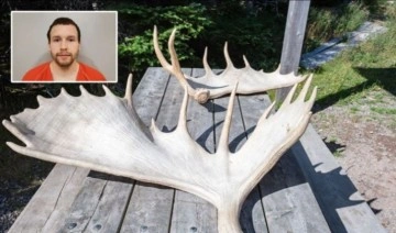 Kızını takip eden cinsel saldırı suçlusunu geyik boynuzuyla öldürdü