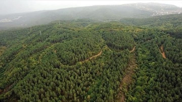 Kocaeli'de ormanlık alanlara girmek yasaklandı