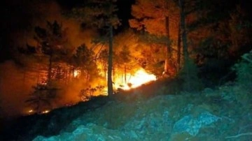 Konya'da ormanlık alanda çıkan yangın söndürüldü
