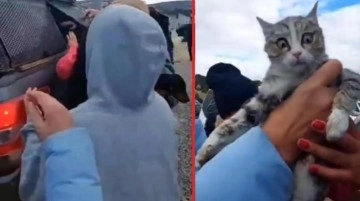 Konya'daki barınaktan 2. skandal! Hayvanları ağzı bağlı poşetten vatandaşlar kurtardı