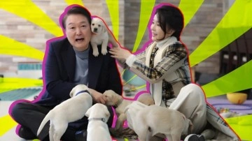 Köpek Etinin Güney Kore'de Yasaklanmasına Önayak Olan Çift - Webtekno