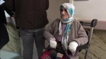 Köpeklerin saldırısına uğrayan yaşlı kadın tedavi altına alındı