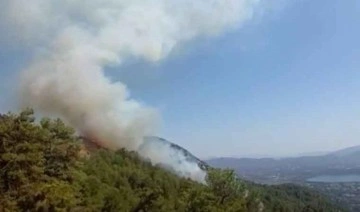 Köyceğiz’de orman yangını uyarısı yapıldı