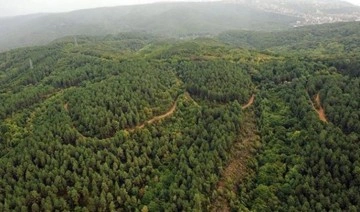 Kültür ve Turizm Bakanlığı, 28 ormanlık alanı otel yapımı için ihaleye açtı