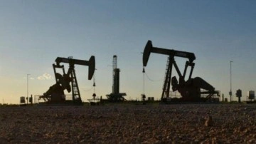 Küresel petrol arzı şubatta günlük 340 bin varil arttı