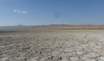 'Kuş cenneti' Erçek Gölü’nde korkutan su kaybı