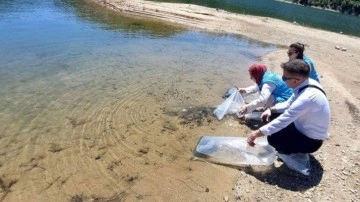 Kütahya Hisarcık’ta baraj ve göletlere 60 bin yavru sazan balığı bırakıldı