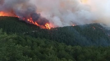 Kütahya'da orman yangını! Bölgeye çok sayıda ekiple birlikte helikopter ve uçak da sevk edildi