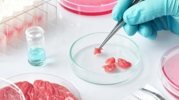 Laboratuvarda Üretilen Et, ‘Yenilebilir’ Onayı Aldı