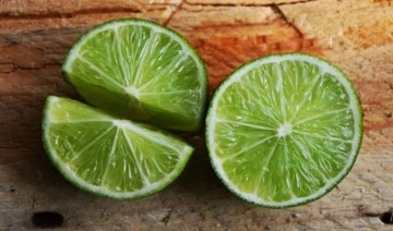 Lime cinsi limonda hasat başladı: Kilosu 70 lira