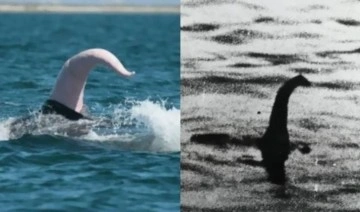 Loch Ness canavarının sırrı çözüldü: Meğer balina penisiymiş