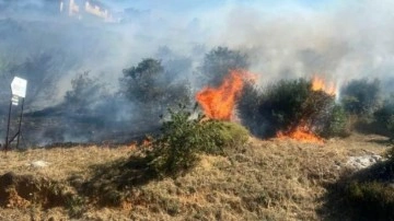 Maltepe'de makilik yangını