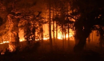 Manisa ve Kütahya'da orman yangını! 40 kişi tahliye edildi, 8 ev kül oldu